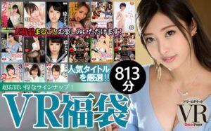 【VR】【VR福袋】人気女優！ 15作品収録 お腹いっぱい813分！